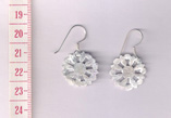 Silver Earrings 0010