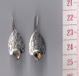 Silver Earrings 0029